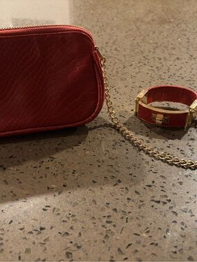 Vintage CC Skye Red Snake Skin Clutch  with Gold Chain and Connecting Bracelet